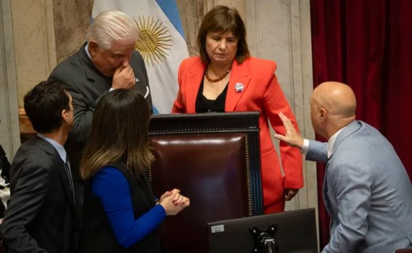 El Senado aprob&oacute; el pliego de Michelli y expuso una nueva derrota pol&iacute;tica para el Gobierno