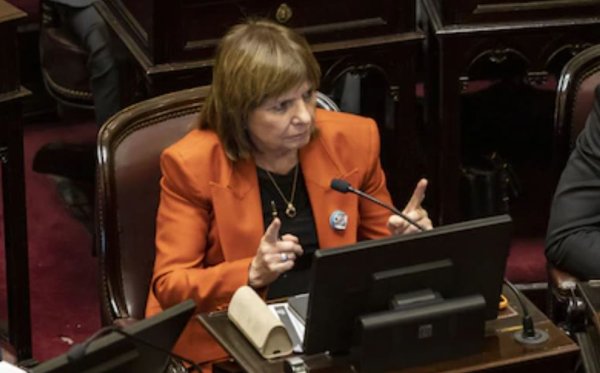 El Senado se rebela contra Bullrich y los aliados del Gobierno ya manejan la agenda legislativa