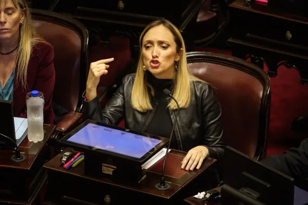 Embarazo de riesgo y representaci&oacute;n pol&iacute;tica: impulsan el voto remoto para legisladoras