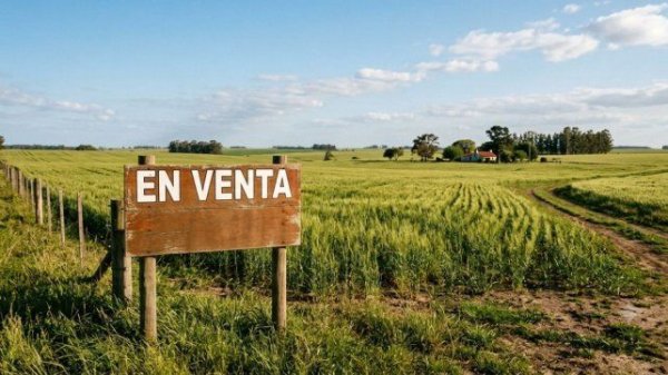 Tierras sin el viejo l&iacute;mite: el DNU de Milei vuelve a dejar abierta la puerta a la extranjerizaci&oacute;n